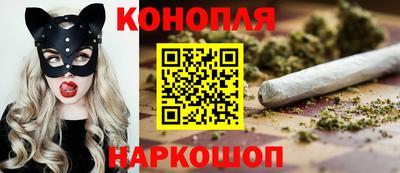 стаф Кимры