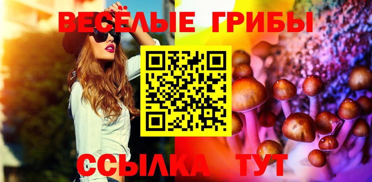 Псилоцибиновые грибы GOLDEN TEACHER  где можно купить наркотик  Вход с VPN  Красный Сулин  Псилоцибиновые грибы Psilocybine cubensis 